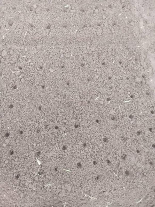 WhatsApp Image 2024-05-09 à 21.12.58_47b7b29e